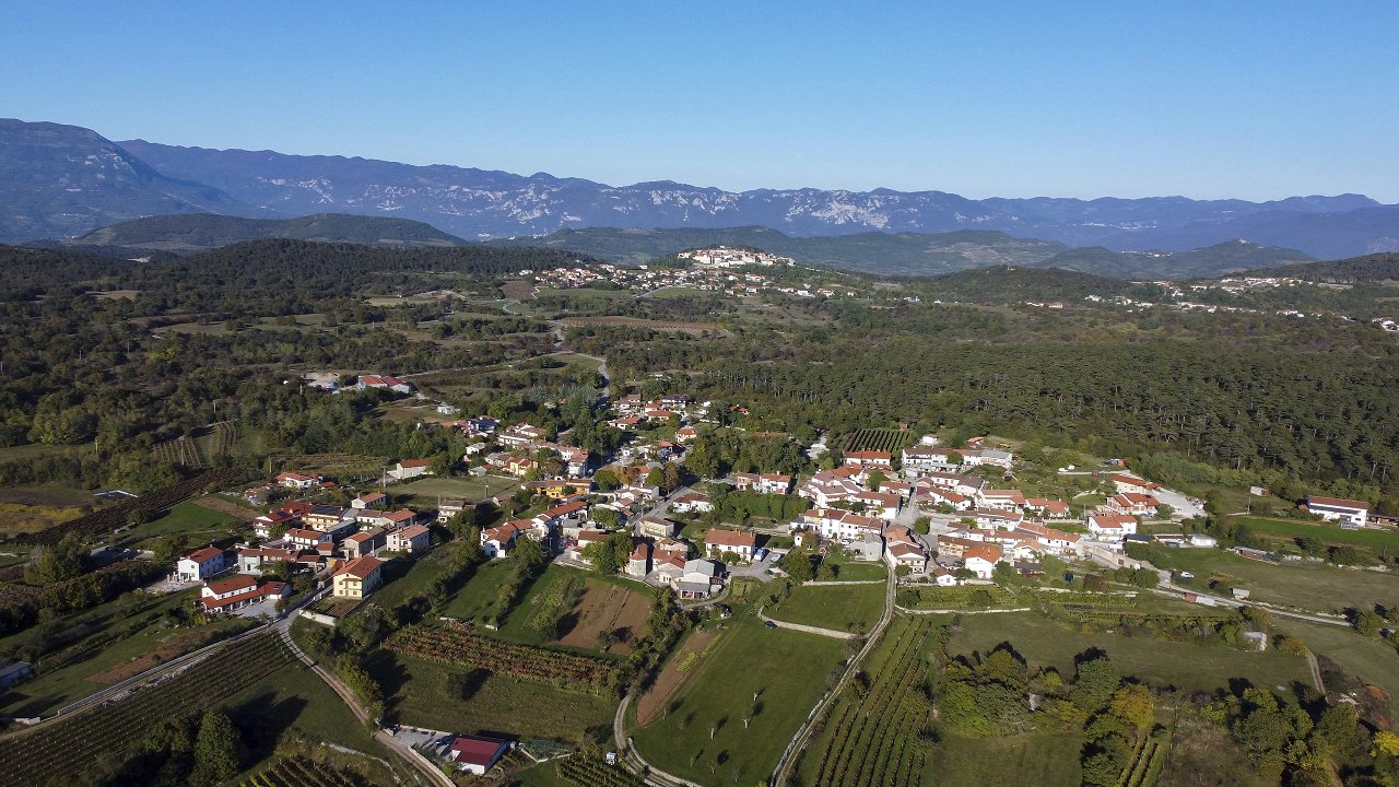 VODILNA_hrusevica_dalec6.jpg