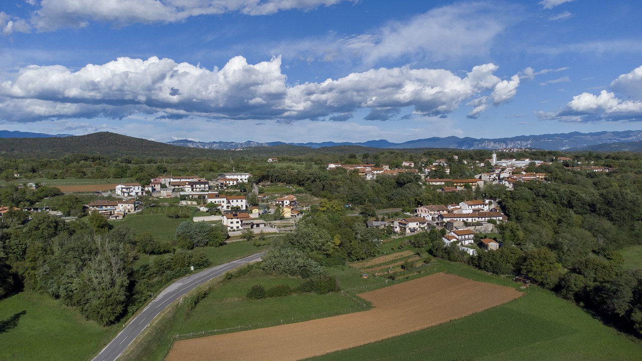 VODILNA_tomacevica_lepo_5.jpg